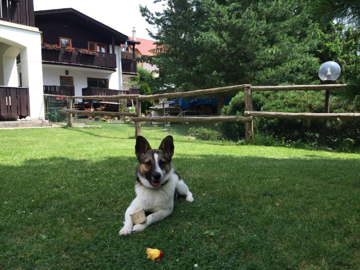 Penzion Pazicky Stará Lesná Dış mekan fotoğraf